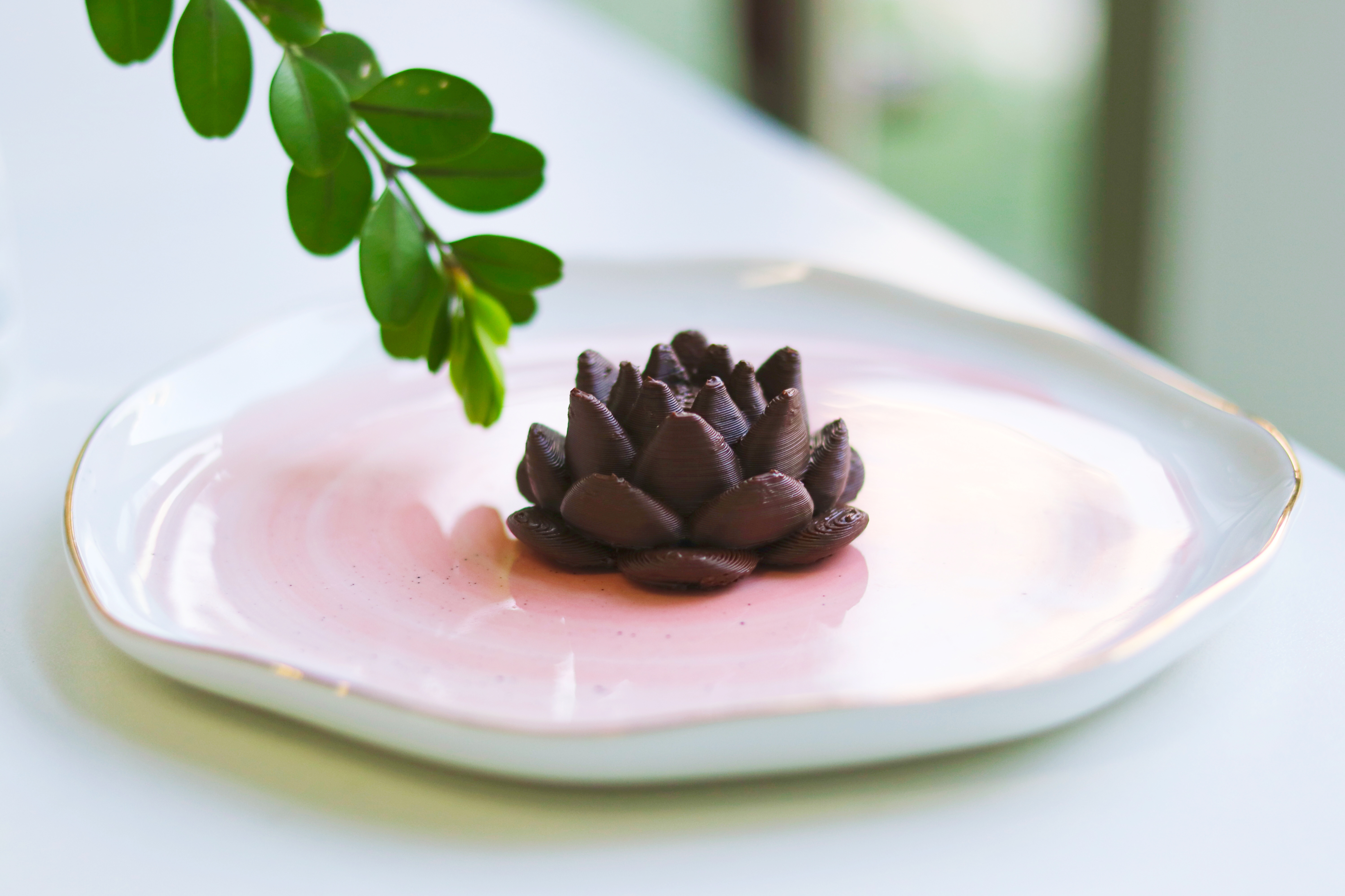 Blooming Chocolate Lotus